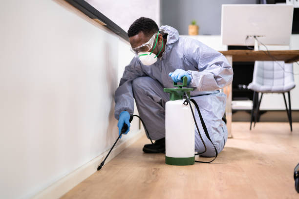 Best Residential Pest Control  in Serenada, TX